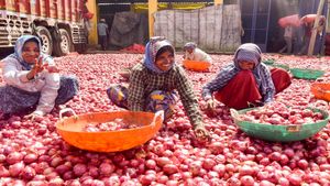 ಈರುಳ್ಳಿ ಬೆಳೆಗಾರರಿಗೆ ಗುಡ್‌ನ್ಯೂಸ್..ಸರ್ಕಾರದಿಂದ ರಫ್ತು ಶುಲ್ಕ ರದ್ದು..ರೈತರಿಗೆ, ರಫ್ತುದಾರರಿಗೆ ನಿರಾಳ..!