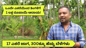 GR Exclusive: ಒಂದೇ ಎಕರೆಯಿಂದ ತಿಂಗಳಿಗೆ 1 ಲಕ್ಷಕ್ಕೂ ಅಧಿಕ ಲಾಭ..17 ಎಕರೆ ಜಾಗದಲ್ಲಿ 300ಕ್ಕೂ ಹೆಚ್ಚು ಬೆಳೆ ಬೆಳೆದ ರೈತನ ಕಥೆ!