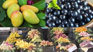 Fruit price crash: 2025ರಲ್ಲಿ ಹಣ್ಣುಗಳ ಬೆಲೆ ಕುಸಿತ..ನೇರಳೆ, ದಾಳಿಂಬೆ, ಮಾವು ಬೆಳೆಗಾರರಿಗೆ ಭಾರಿ ಆರ್ಥಿಕ ಹೊಡೆತ!