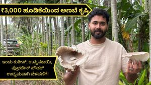 GR Exclusive: ₹3,000 ಹೂಡಿಕೆಯಿಂದ ಅಣಬೆ ಕೃಷಿ..ಇಂದು ಲಕ್ಷ ಲಕ್ಷ ಆದಾಯ! ಉಪ್ಪಿನಕಾಯಿ, ಕುಕೀಸ್, ಪ್ರೋಟೀನ್ ಪೌಡರ್ ತಯಾರಿಕೆ!