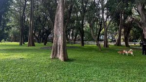 Cubbon Park: ಕಬ್ಬನ್‌ ಪಾರ್ಕ್‌ನಲ್ಲಿ ಹೊಸ ರೂಲ್ಸ್ ಜಾರಿ: ಇನ್ಮುಂದೆ ಇವೆಲ್ಲ ಮಾಡಂಗಿಲ್ಲ.. ಪಾಲಿಸದಿದ್ದರೆ ದಂಡ ಫಿಕ್ಸ್!