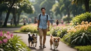 ನಾಯಿಗಳ ವಾಕಿಂಗ್​ ಕರ್ಕೊಂಡು ಹೋಗಿಯೇ ಯುವಕನೊಬ್ಬ ತಿಂಗಳಿಗೆ 4.5 ಲಕ್ಷ ಹಣ ಗಳಿಸಿ ಲಕ್ಷದ ಸರದಾರನಾಗಿದ್ದೇನೆ!