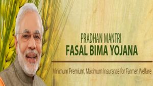 PMFBY: ಬೆಳೆ ವಿಮೆ ಬೇಕಾ? ಖಾರಿಫ್‌ಗೆ ನೋಂದಣಿ ಶುರು! ಕೊನೆಯ ದಿನಾಂಕ ಜು.31.. ಅರ್ಜಿ ಸಲ್ಲಿಕೆ ಹೇಗೆ?