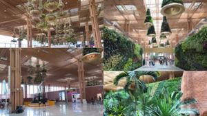 ಬೆಂಗಳೂರು ಏರ್ಪೋರ್ಟ್‌ಗೆ ಫಿದಾ ಆದ ಜಪಾನ್ ವ್ಯಕ್ತಿ..ಇನ್‌ಸ್ಟಾಗ್ರಾಂ ಪೋಸ್ಟ್‌ನಲ್ಲಿ ವಾವ್ ಎಂದು ಪೋಸ್ಟ್!