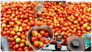 Tomato Price Hike: ದುಬಾರಿಯಾಯ್ತು ಟೊಮೆಟೊ! ಬರೀ 15 ದಿನಗಳಲ್ಲಿ ಗಗನಕ್ಕೇರಿದ ಟೊಮೆಟೊ ಬೆಲೆ