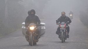 Heavy Cold: ಕರ್ನಾಟಕದಲ್ಲಿ ಕಮ್ಮಿಯಾಗದ ಚಳಿ! ಬೆಂಗಳೂರಿನಲ್ಲಿ ಮಂಜಿನ ವಾತಾವರಣ 