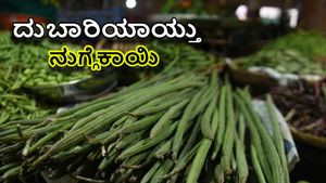 Drumstick Price: ಮಟನ್‌ ದರದಲ್ಲಿ ನುಗ್ಗೆಕಾಯಿ! ಒಂದು ಕೆಜಿ ನುಗ್ಗೆ ಬೆಲೆ 700 ರೂಪಾಯಿ 