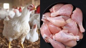 Chicken Price Hike: ಚಿಕನ್‌ ಬೆಲೆ 360ಕ್ಕೆ ಏರಿಕೆ! ಗ್ರಾಹಕರು ಶಾಕ್‌, ಯಾವಾಗ ಇಳಿಕೆಯಾಗುತ್ತೆ ಗೊತ್ತಾ?