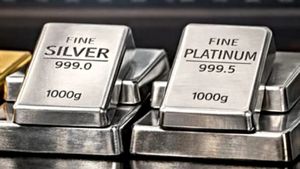 Silver Rate: ಮಂಗಳವಾರವೂ 10,000 ರೂ. ದಿಢೀರ್‌ ಇಳಿಕೆ! ಎಷ್ಟಿದೆ ಗೊತ್ತಾ ದರ?