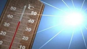 Karnataka Weather: ರಾಜ್ಯದಲ್ಲಿ ವಾರವಿಡೀ ತಾಪಮಾನದಲ್ಲಿ ಹೆಚ್ಚಳ! ಹವಾಮಾನ ಇಲಾಖೆಯಿಂದ ಎಚ್ಚರಿಕೆ