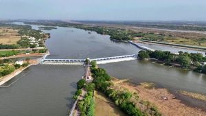 Mekedatu Project: ಮೇಕೆದಾಟು ಯೋಜನೆಯಡಿ 5,173 ಹೆಕ್ಟೇರ್ ಭೂಮಿ ಮುಳುಗಡೆ…ತಮಿಳುನಾಡಿಗೂ ಅನುಕೂಲ!