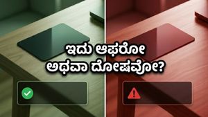 ಎಸ್‌ಬಿಐ ಕ್ಯಾಶ್‌ಬ್ಯಾಕ್ ಕಾರ್ಡ್ ಬಳಕೆದಾರರೇ ಎಚ್ಚರ: ಫ್ಲಿಪ್‌ಕಾರ್ಟ್‌ನಲ್ಲಿ ಸಿಗುತ್ತಿರುವ ಈ ಆಫರ್ ಅಸಲಿಯೋ ಅಥವಾ ತಾಂತ್ರಿಕ ದೋಷವೋ?