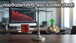 ಷೇರು ಮಾರುಕಟ್ಟೆ ಕುಸಿತ: ನಿಮ್ಮ ಹಣವನ್ನು ಕಳೆದುಕೊಳ್ಳುವ ಬದಲು ಈ ತಂತ್ರ ಬಳಸಿ ಶ್ರೀಮಂತರಾಗಿ!