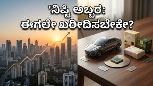 ನಿಫ್ಟಿ 24,100ರ ಗಡಿ ದಾಟಿದ ಸಂಭ್ರಮ: ಹೂಡಿಕೆದಾರರ ಪಾಲಿಗೆ ಈಗ ಯಾವ ಷೇರುಗಳು ಬೆಸ್ಟ್?