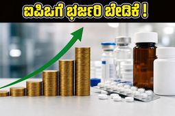 90 ಪಟ್ಟು ಸಬ್‌ಸ್ಕ್ರಿಪ್ಷನ್ ಪಡೆದ ಗೋಲ್ಡ್‌ಲೈನ್ ಫಾರ್ಮಾ ಐಪಿಒ: ಹೂಡಿಕೆದಾರರ ಪಾಲಿಗೆ ಇದು ಜಾಕ್‌ಪಾಟ್ ಆಗುತ್ತಾ?