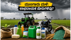 ಮುಂಗಾರು ಮಳೆ ಬರ್ತಿದೆ: ನಿಮ್ಮ ಪೋರ್ಟ್‌ಫೋಲಿಯೋದಲ್ಲಿ ಈ ಷೇರುಗಳಿದ್ದರೆ ಲಾಭ ಖಚಿತ, ಮಿಸ್ ಮಾಡ್ಕೋಬೇಡಿ!