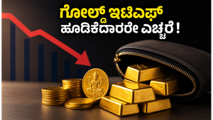 ಗೋಲ್ಡ್ ಇಟಿಎಫ್ ಹೂಡಿಕೆದಾರರಿಗೆ ಶಾಕ್: ನಿಮ್ಮ ಹಣದ ಮೇಲೆ ನಿರ್ಬಂಧ ಹೇರಿದ್ದಾರೆಯೇ?