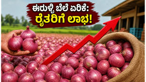 ರೈತರಿಗೆ ಬಂಪರ್ ಲಾಭ: ಈರುಳ್ಳಿ ಖರೀದಿ ಬೆಲೆ ಏರಿಕೆ, ಇನ್ಮುಂದೆ ಅಡುಗೆ ಮನೆ ಬಜೆಟ್ ಸೇಫ್!