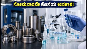 ಲುಮಿನೋ ಮತ್ತು ಕ್ವಿಕ್ ಫೋರೆನ್ಸಿಕ್ ಐಪಿಒ: ಸೋಮವಾರವೇ ಕೊನೆಯ ಅವಕಾಶ, ಹೂಡಿಕೆದಾರರು ಮಿಸ್ ಮಾಡದಂತೆ ಗಮನಿಸಬೇಕಾದ ಟಿಪ್ಸ್!