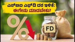 ಎಸ್‌ಬಿಐ ಬಲ್ಕ್ ಎಫ್‌ಡಿ ಬಡ್ಡಿ ದರ ಕಡಿತ: ಹೂಡಿಕೆದಾರರಿಗೆ ಶಾಕ್, ಪರ್ಯಾಯ ಮಾರ್ಗಗಳೇನು?