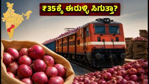 'ಕಾಂದಾ ಎಕ್ಸ್‌ಪ್ರೆಸ್' ಆಗಮನ: ಈರುಳ್ಳಿ ಬೆಲೆ ಇಳಿಕೆ ಯಾವಾಗ? ನಿಮ್ಮ ನಗರದಲ್ಲಿ ₹35ಕ್ಕೆ ಸಿಗುತ್ತಾ?