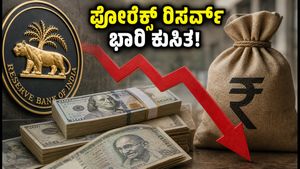 ಭಾರತದ ಫೋರೆಕ್ಸ್ ರಿಸರ್ವ್‌ ಭಾರಿ ಕುಸಿತ: ರೂಪಾಯಿ ಮೌಲ್ಯಕ್ಕೆ ಕಾದಿದೆಯಾ ಗ್ಯಾಪ್ ರಿಸ್ಕ್?