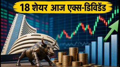 आज 10 सितंबर को 18 शेयरों में मचेगी हलचल, एक्स-डिविडेंड के साथ TVS Srichakra का बड़ा पेआउट!