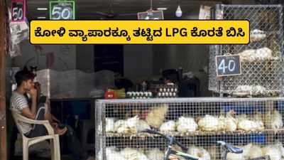 LPG Crisis Bengaluru: ಕೋಳಿ ವ್ಯಾಪಾರಕ್ಕೂ ತಟ್ಟಿದ LPG ಕೊರತೆ ಬಿಸಿ; ಬೆಂಗಳೂರಲ್ಲಿ ಮಾರಾಟ ಭಾರಿ ಕುಸಿತ