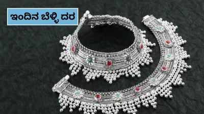 Silver Price Today: ಬೆಳ್ಳಿ ದರದಲ್ಲಿ ಇಂದು 5,000 ಕುಸಿತ; ಭಾರತದಲ್ಲಿ ಇಂದಿನ ಬೆಲೆ ತಿಳಿಯಿರಿ