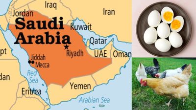  இந்திய முட்டை, கோழி இறைச்சி-க்கு தடை.. சவுதி அரேபியா அறிவிப்பால் ஷாக்..!!