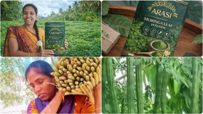 வறுமையை வென்று சாதனை படைத்த பொன்னரசி! லட்சங்களில் டர்ன் ஓவர்! முருங்கை டூ மல்டிநேஷனல் பிசினஸ்!