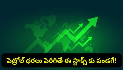 Stock market: మార్కెట్ షాక్ ఇచ్చినా భయం వద్దు.. ఇన్వెస్టర్లకు ఇవే సేఫ్ ఆప్షన్లు!