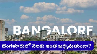 Bengaluru: బెంగళూరులో బతకాలంటే ఇంత అవుతుందా? వైరల్ అవుతున్న కపుల్ మంత్లీ బడ్జెట్!