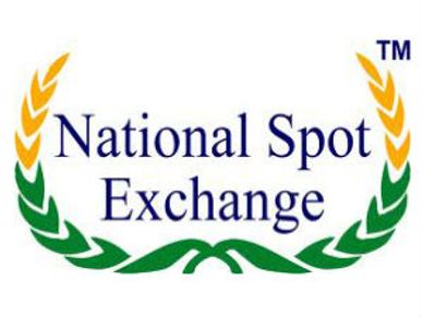 e-platinum trading by NSEL