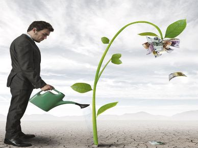 How To Make More Money From Your PPF Account?