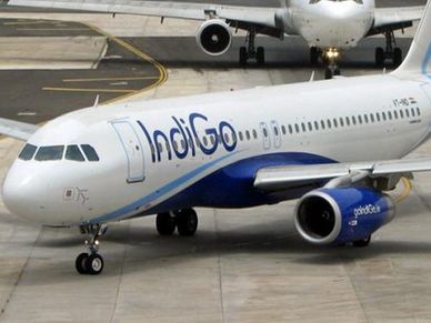Not Easy For Airline, To Turn Profit In India: IATA Official