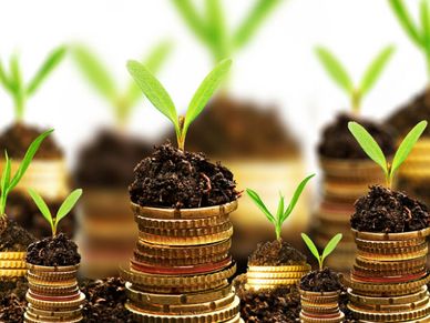 How Is Income From NCDs Taxed?