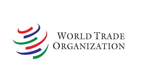 India Dismisses The Immediate Impact Of WTO Panel Ruling On IT Tariffs