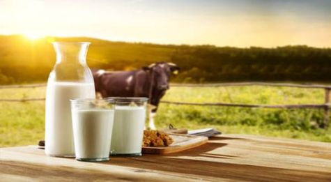 India Not To Import Butter And Other Dairy Products To Tap Domestic Sector To Improve Supplies: Rupala