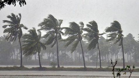 Monsoon Likely To Be Normal This Year, Says IMD