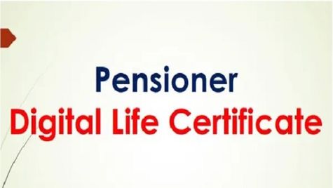 How to Submit an Annual Life Certificate Online?