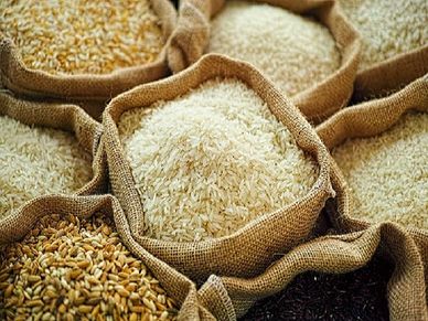 Basmati Rice Sales To Grow 30 Per Cent On High Demand This Fiscal: Report