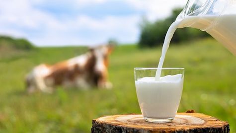 'Amul' Hikes Milk Prices By Rs 2 Per Litre; Gujarat exempted