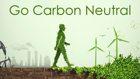 India Can Achieve Its Goal Of Being Carbon Neutral Much Before Its Target Of '2070': IMF MD