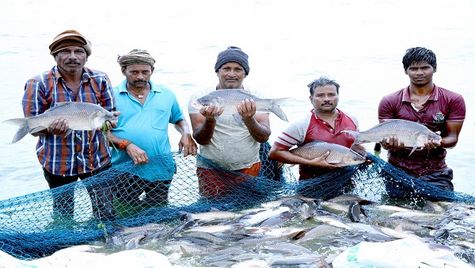 PM Matsya Sampada Yojana- A New Sub Scheme Launched, Check Details