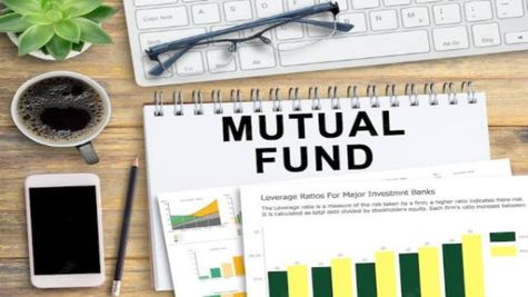 This Tata Mutual Fund Outperformed Benchmark, Gave 42.64% Return In 1 Year, CRISIL Ranked No. 1 