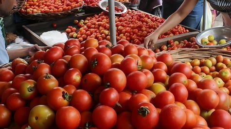 Government Slashes Tomato Prices To Rs 70/kg, Offering Relief To Consumers From Soaring Retail Costs