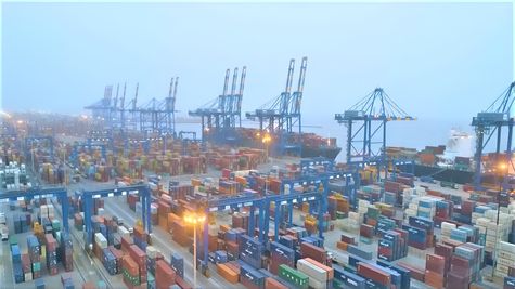 Adani Ports & SEZ Appoints MSKA & Associates As Its New Auditor 