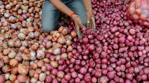 Farmers Protest In Nashik Against Centre's 40% Export Duty On Onion