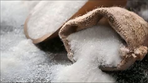 A Sweet Story of Exports: How India's Sugar Shipments Reached An Inflection Point